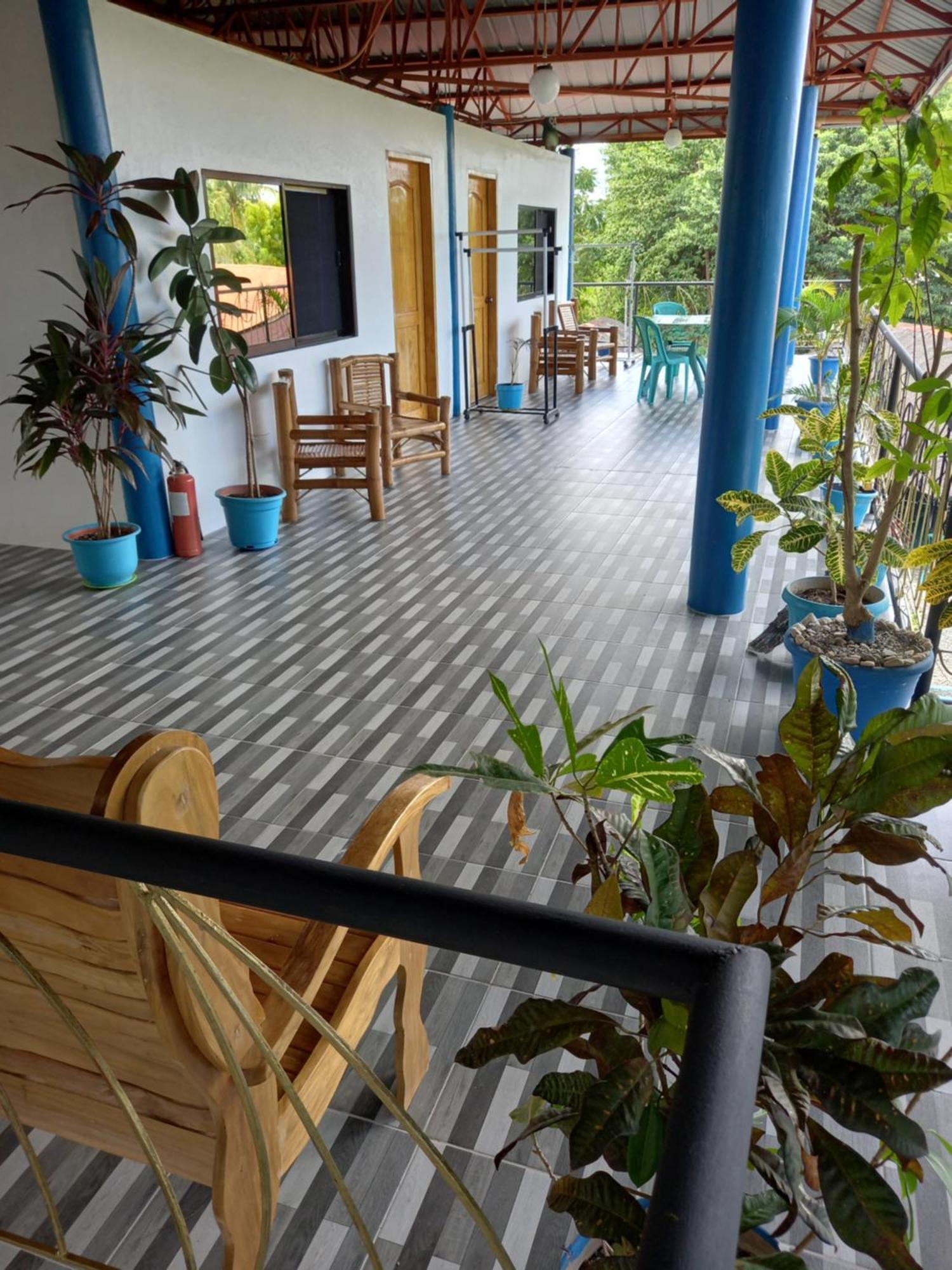 Happy Bear Moalboal Budget Rooms 外观 照片